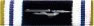 Starship Service Ribbon: USS Sumter (2372-2380)